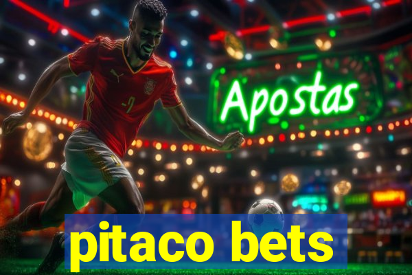 pitaco bets
